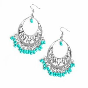 Silver and Turquoise earrings